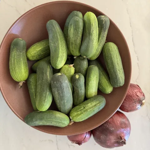 over a dozen small bumpy cucumbers in a bowl, three small red onions on the table outside the bowl