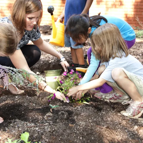 Two school children help their teacher plant a seedling in the soil at their school garden.