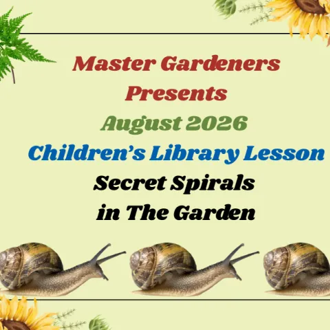 Spiral in the garden include snails, sunflowers & cones