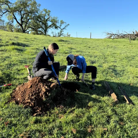 Soil Pit
