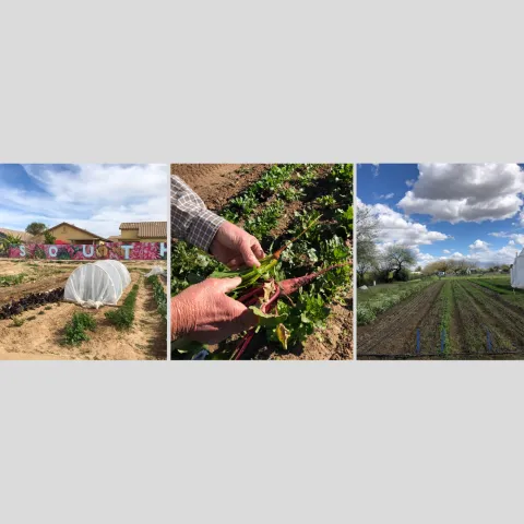 Three farms representing the diverse client mix of the Southwest Regional Food Business Center