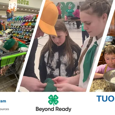 Collage of Tuolumne County 4-H youth participating in activities such as cooking, leadership, civic engagement, and veterinary science.