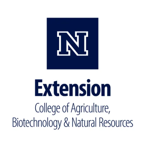 Nevada Extension Logo