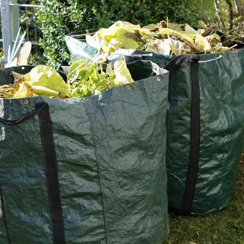 Making your garden winter ready