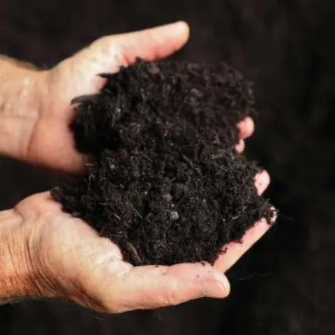 hands holding dark compost