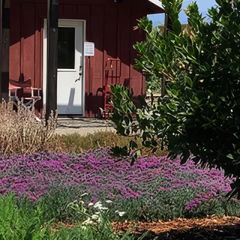Demonstration garden with the outdoor classroom in the back.