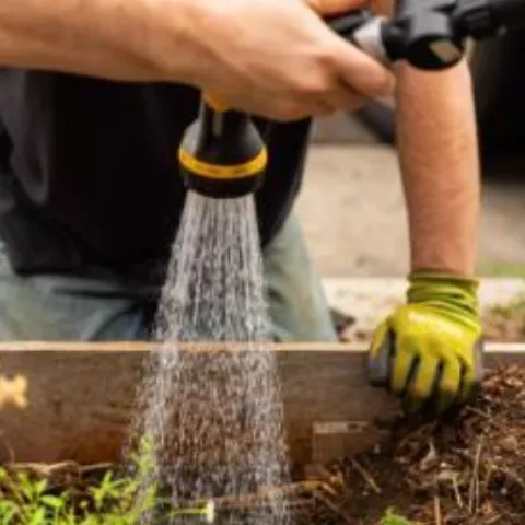 person watering plants with a spray hose nozzle
