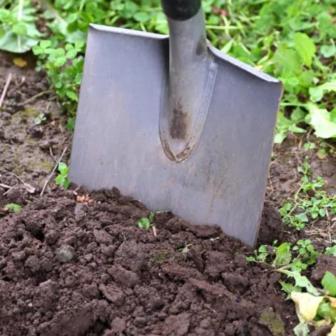 shovel digging into a garden bed