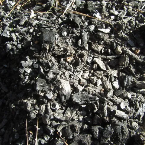 Charcoal created through pile burning.