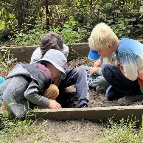 Camp kids digging