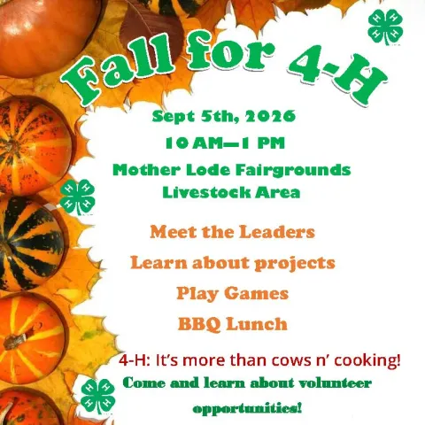 Fall for 4-H is our annual Tuolumne County 4-H openhouse event at Mother Lode Fairgrounds. 