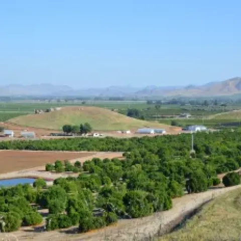 Aerial view of Lindcove REC