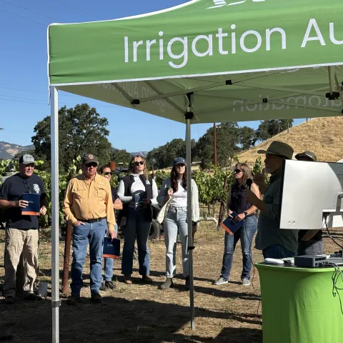 People in a vineyard stand around a man speaking next to a computer monitor