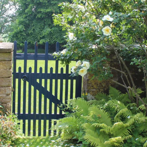A black garden gate set in a stone wall surrounded by lush ferns, foxgloves, and white flowering shrubs.