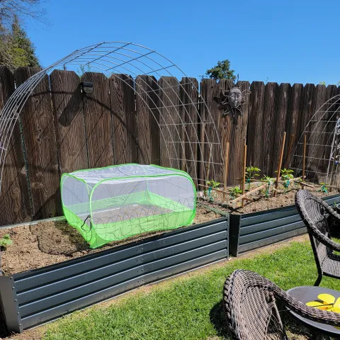 Row coveron a garden bed