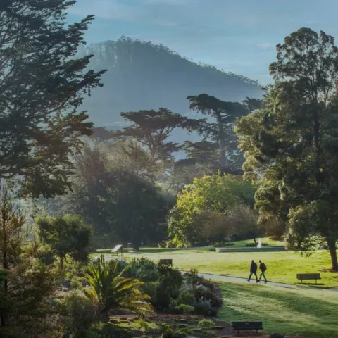 San Francisco Botanical Garden