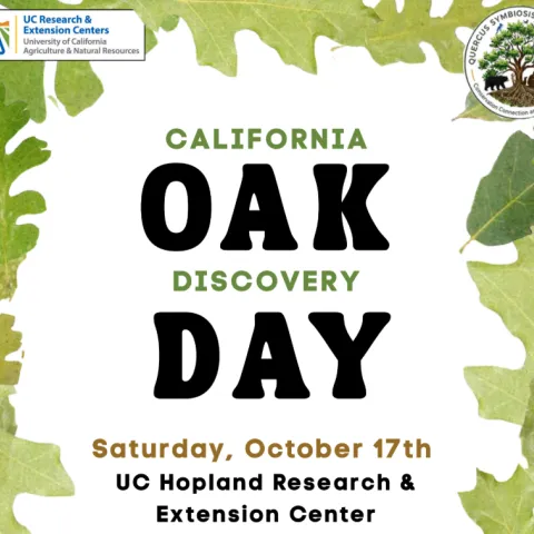 Poster for California Oak Discovery Day. Saturday, October 17th. UC Hopland Research and Extension Center