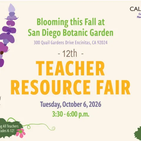 Flyer for the 12th Teacher Resource Fair at San Diego Botanic Garden, announcing “Blooming this Fall,” with date Tuesday, October 6, 2026, 3:30–6:00 pm, and decorative purple flowers, bees, and fruit.