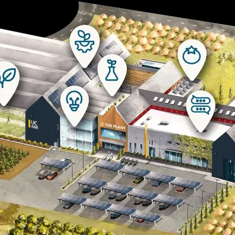 Rough initial rendering of The Plant facility