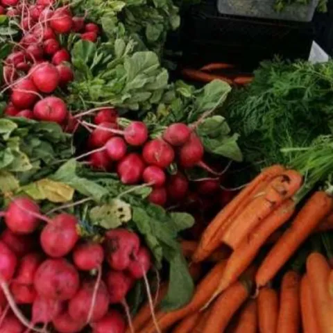 bunches of radishes and carrots