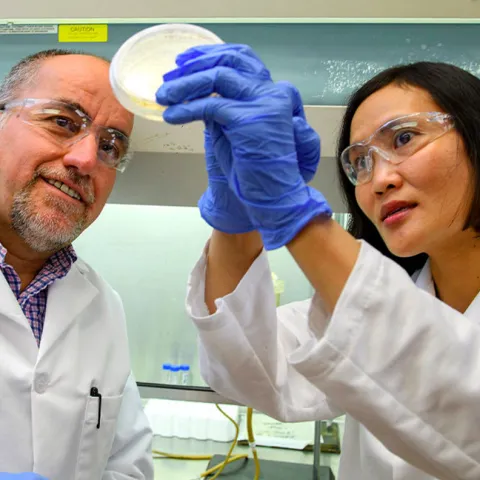 lab people