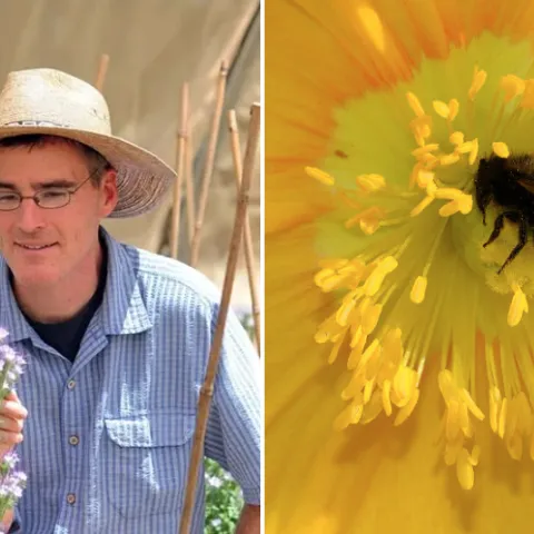 Neal Williams and a native bee