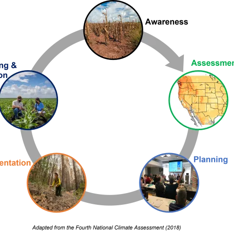 Climate Adaptation cycle
