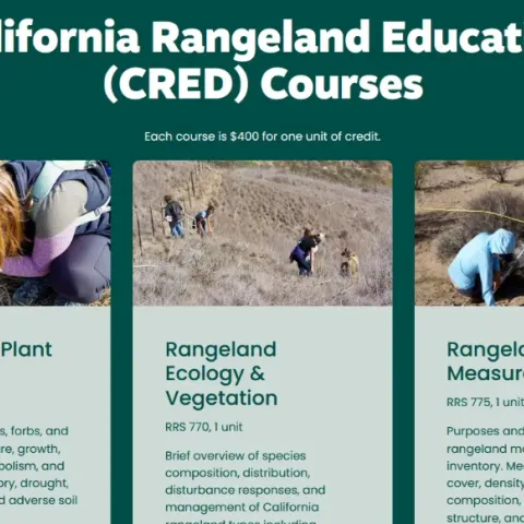 people in the field studying rangeland
