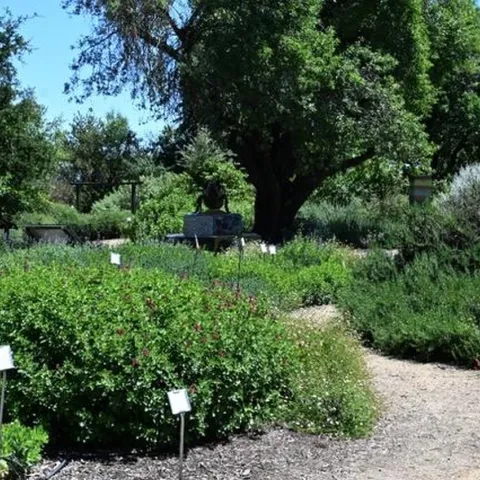 The UC Davis Bee Haven