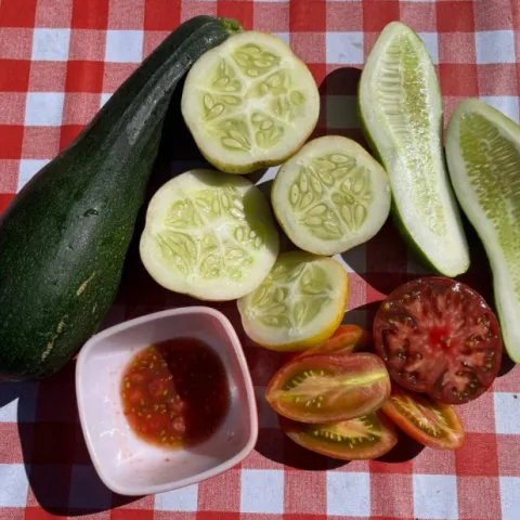zucchini, lemon cucumbers, and tomatoes cut in half to display seeds