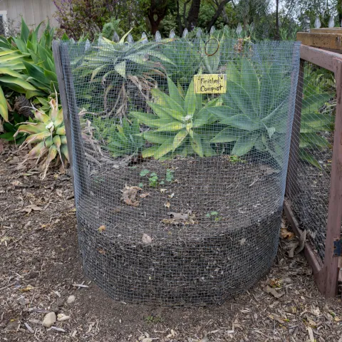 Green waste compost piled in a wire mesh container.