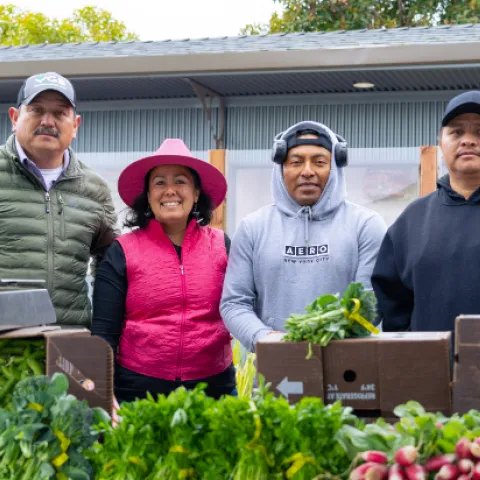 Four farmers stand behind a table of leafy greens