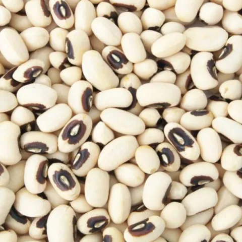 Blackeye bean seeds