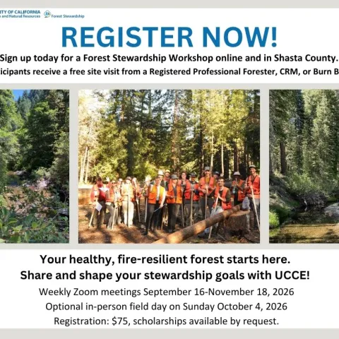 Flyer of the forest steqrdship workshop with group photos of people in the forest. 