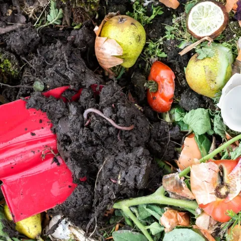 A red shovel in brown soil with food scrapes around 