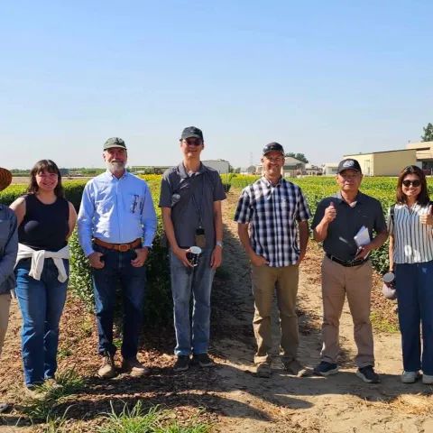 Eight people standing in front of tea plants in field