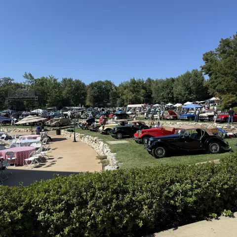 Vintage cars parked on rows of grass at Ironstone amphitheater.