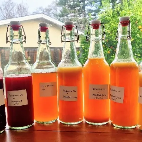 Kombucha bottles