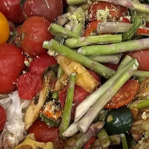 rotting vegetables image