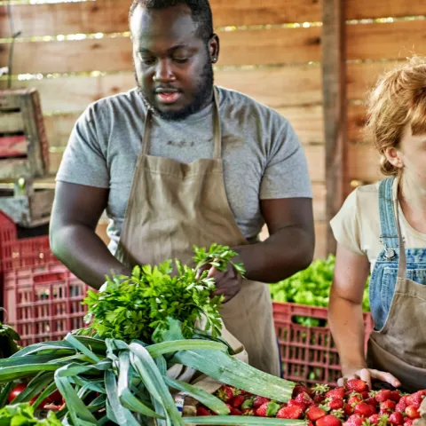 Two farmers wearing aprons pack boxes of fresh fruits and vegetables.