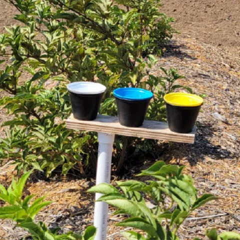 Hedgerow planting with beneficial insect sampling trap. There is also a caption noting that Spanish Interpretation is provided. 