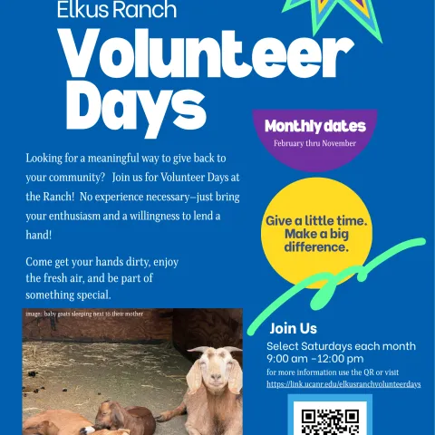 Volunteer Days at Elkus Ranch