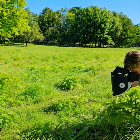 "Beetlelady" Stephanie Dole taking a photo of an insect.