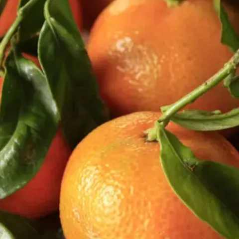 Clementines