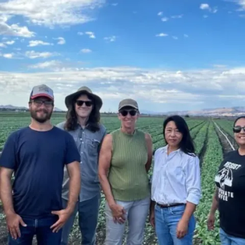 farmers standing in a field of row crops