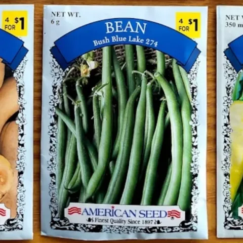 picture of different vegetables and fruits seed packets, unsplash.com