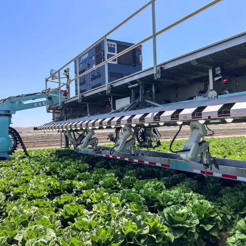 Agricultural automation equipment is demonstrated in a leafy greens field during UC ANR Innovate's Coastal Veg Field Day in the Salinas Valley