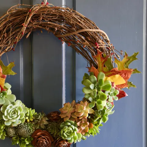 Wreath with various succulents attached