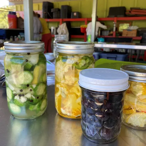 a row of jars filled with pickles on a shelf