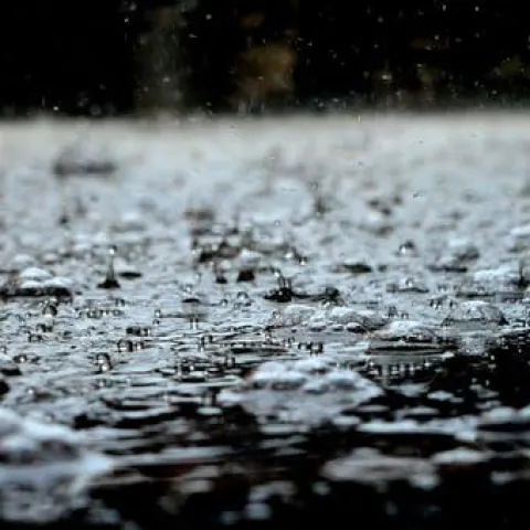 rain drops